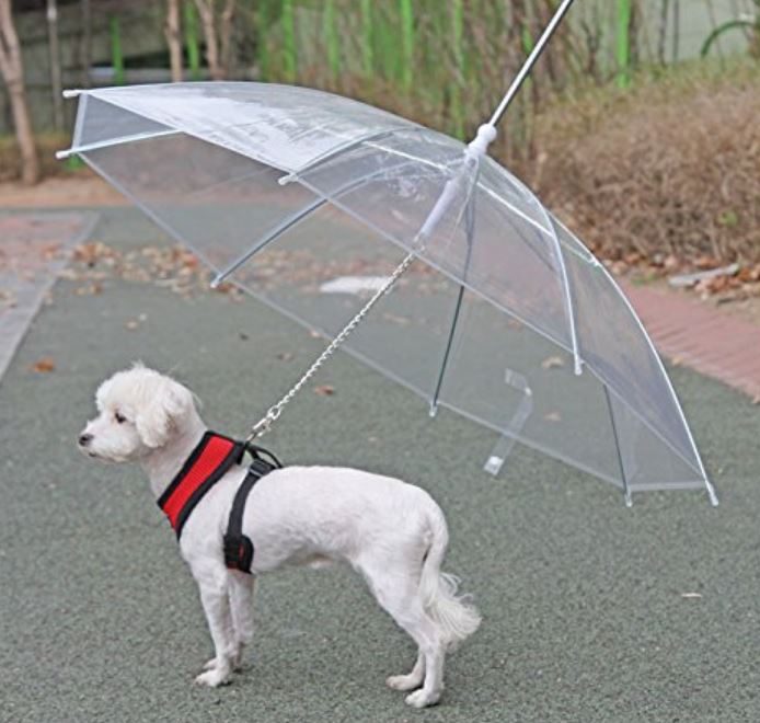 人気商品】 わんちゃん 猫ちゃん お散歩用傘 小型犬用 犬の傘 リード